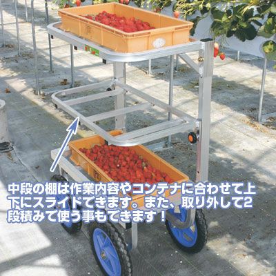 最短当日発送】【送料無料】 ハラックス 収穫台車 愛菜号 SW-312