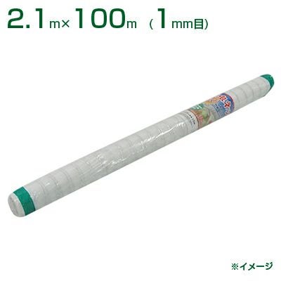 000000003589-01.jpg?size=m&w=
