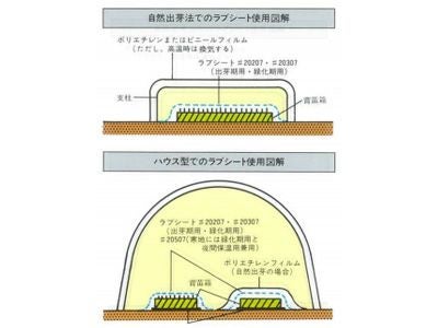 ユニチカ 水稲育苗用 不織布 ラブシート 300cm×50m 20307WTD | アグリズ