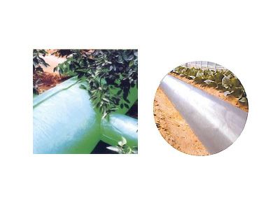 日新化学工業 1層 ポリダクト 0.1mm厚 400mm X 100m 2本入 農業資材