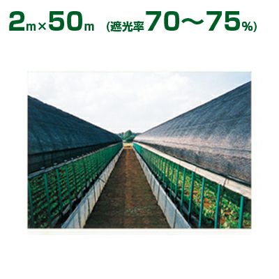 ダイオ化成 遮光ネット 黒 ダイオシート 10号（遮光率70～75%）2m×50m