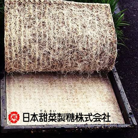 専用ニ苗 日本甜菜製糖 （ニッテン） 水稲箱用 育苗用下敷紙 クラパピー 277