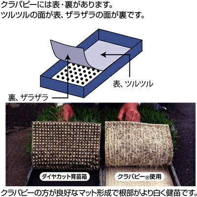 日本甜菜製糖 （ニッテン） 水稲箱用 育苗用下敷紙 クラパピー 277