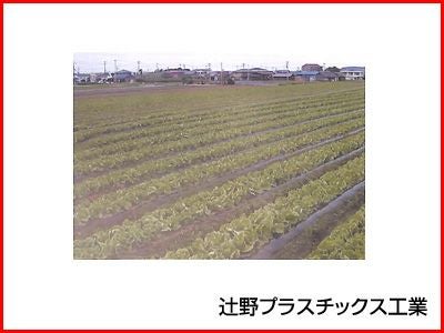 辻野プラスチックス 黒マルチ 3本入 0.03mm×95cm×200m | アグリズ
