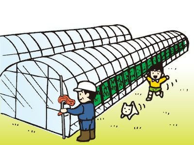 誠和 ハウス巻き上げ換気装置 くるファミ 100 2個入 巻上機 ハウス