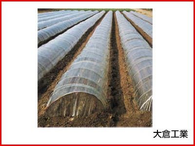 大倉の農ポリ 農ポリ 230cm 農ポリ 0.05mm オークラ 大倉 透明 一般 農ポリ 0.05mm X