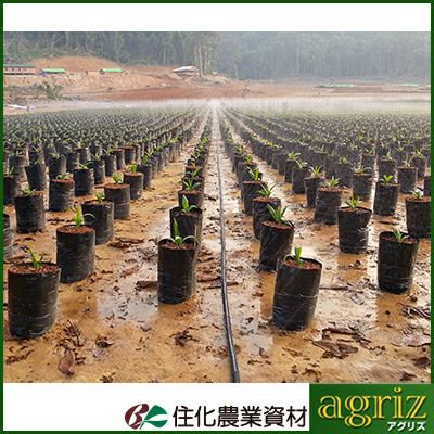 たくと　潅水CP/2 住化農業資材 スミサンスイ マーク2 100m巻 孔径0.3mmφ 潅水チューブ