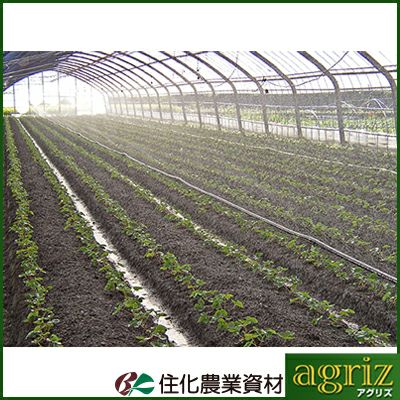 住化農業資材 スミサンスイ R育苗 100m巻 (~5.4m 高畝対応) 潅水