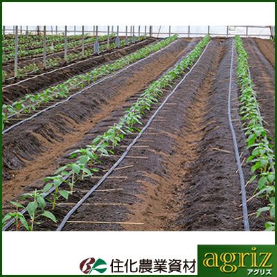 住化農業資材 ネオドリップ ヨコシタ 02L 200m巻 上下散水 (上)(下