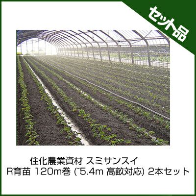 住化農業資材 スミサンスイ R育苗 120m巻 (~5.4m 高畝対応) 2本セット