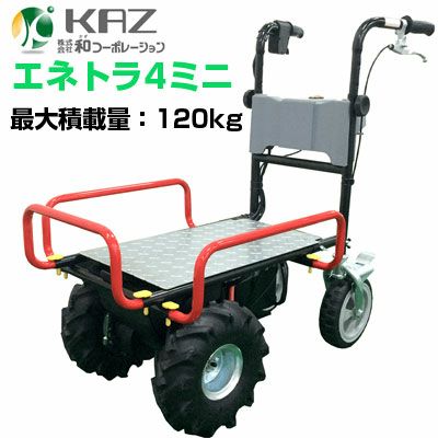 3/9売却済みK様ありがとうございました。 上品さを犠牲にした叫び - 旅のトラウマ舎