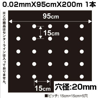 マルチン　骨盤径 マルチン 骨盤径 【公式通販】