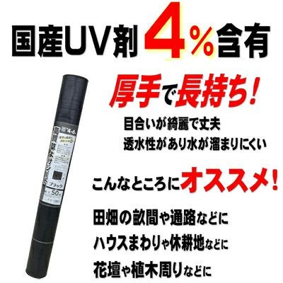 000000073681-02.jpg?size=m&w=