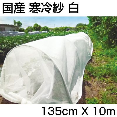 寒冷紗 白 シンセイ 国産 1.35m X 10m 1枚 135cm 農業資材 家庭菜園