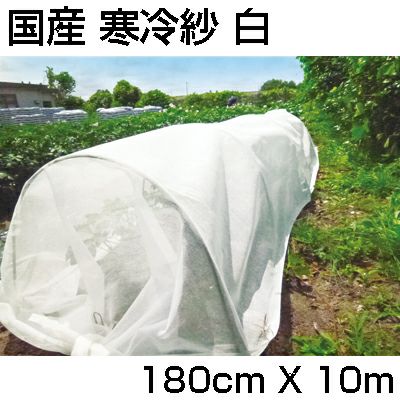 寒冷紗 白 シンセイ 国産 1.8m X 10m 1枚 180cm 農業資材 家庭菜園