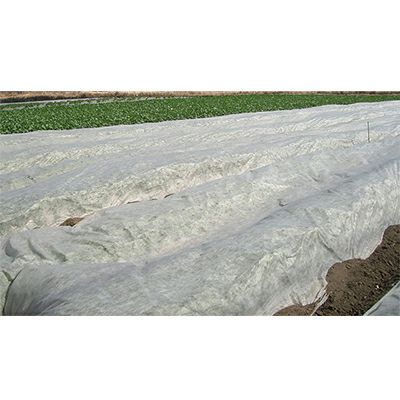 岩谷 イワタニ 不織布 NEWアイホッカ #18 60cm X 200m 2本入 高保温性