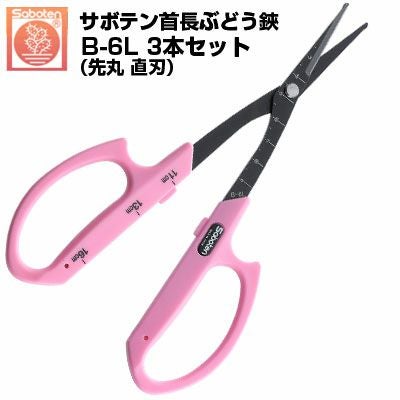 送料無料のお得な3本セット) ぶどう鋏 サボテン 首長先丸 直刃 NO.B-6L