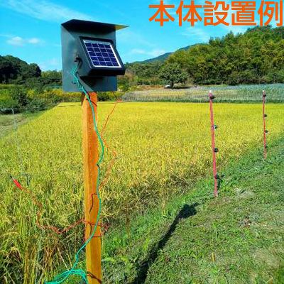 期間限定4000円値引き】 電気柵セット 電気柵 ソーラー 百恵ちゃん