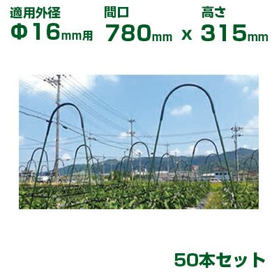 積水 ｾｷｽｲ イボ竹用 アーチパイプ φ16用 50本 黒 ネット栽培用 | アグリズ