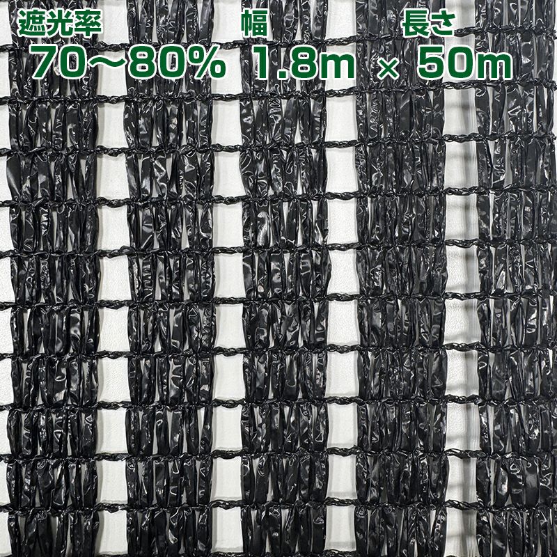 000000084363-01.jpg?size=m&w=