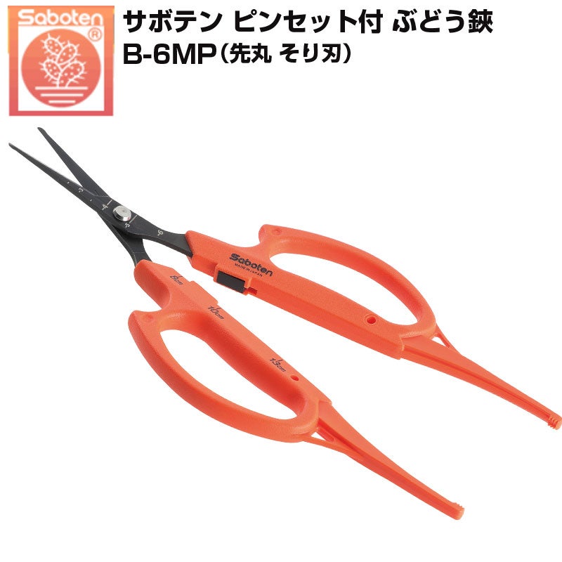 サボテン ぶどう鋏 ピンセット付 そり刃 B-6MP ぶどうはさみ 摘粒 摘果