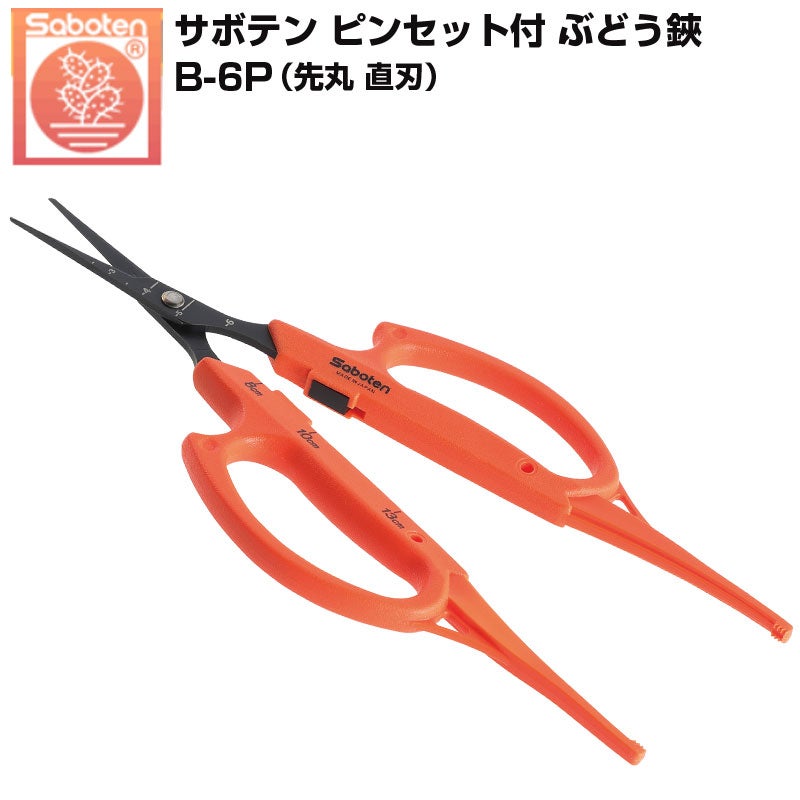 サボテン ぶどう鋏 ピンセット付 直刃 B-6P ぶどうはさみ 摘粒 摘果