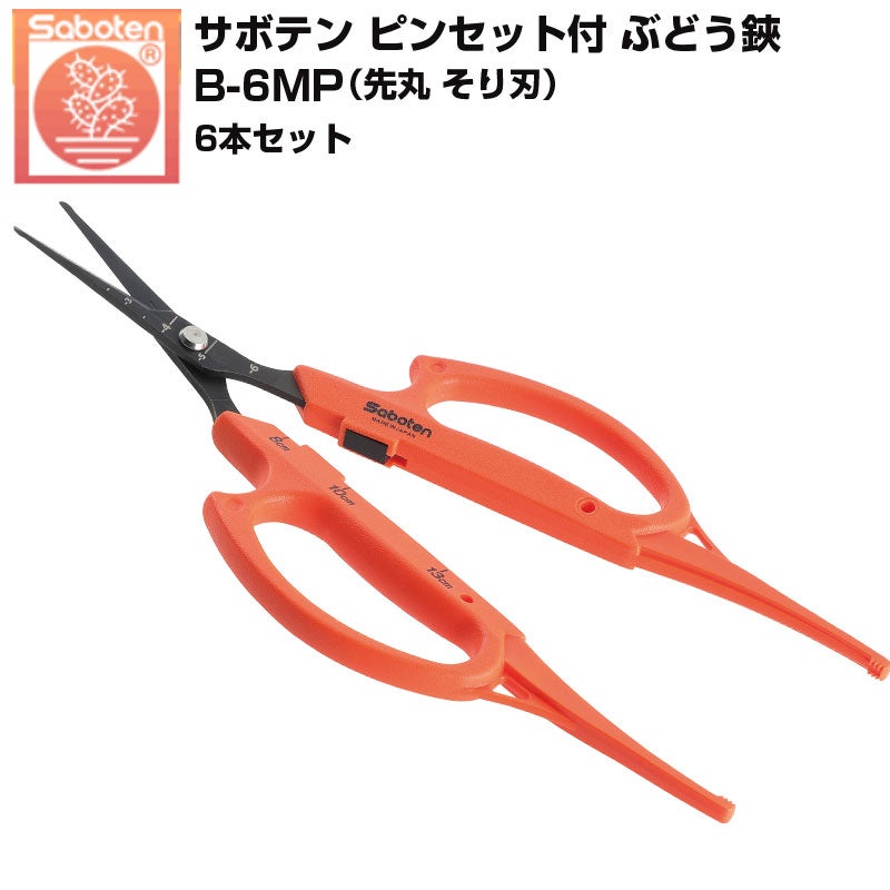 6本セット】 サボテン ぶどう鋏 ピンセット付 直刃 B-6P ぶどうはさみ